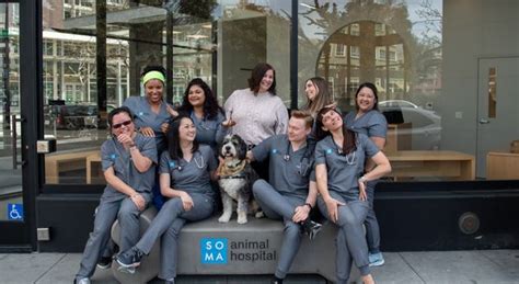 soma animal hospital|animal clinic san francisco.